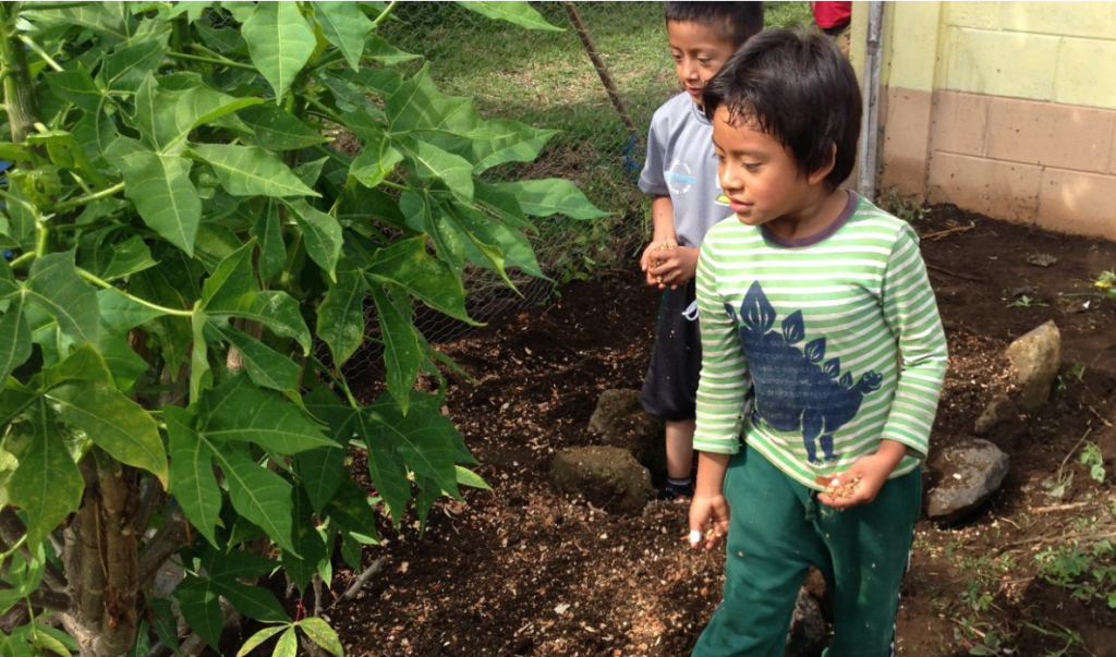 Pre school planting seeds